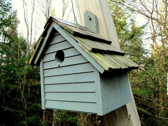 birdhouse-49245_640.jpg