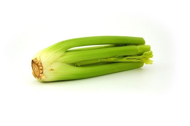 celery-1811_640.jpg