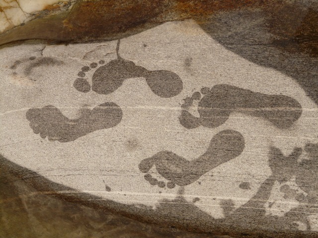 footprint-g3c63039a0_640.jpg