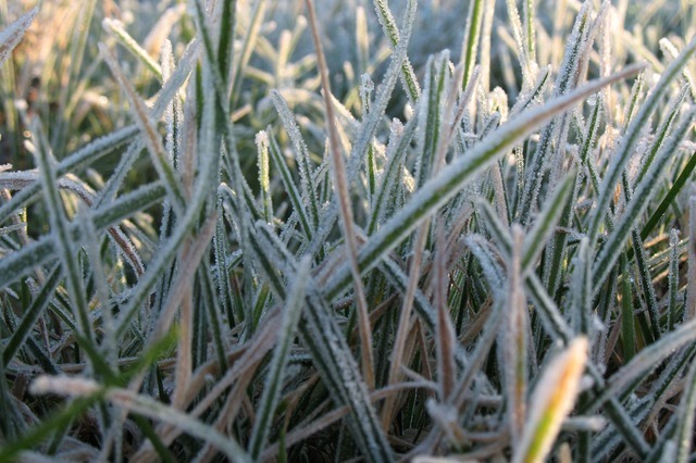 frost-1942_640.jpg