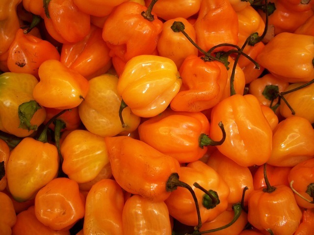 habanero-chilli-peppers-2804_640.jpg