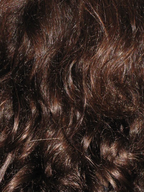 hair-23085_640.jpg