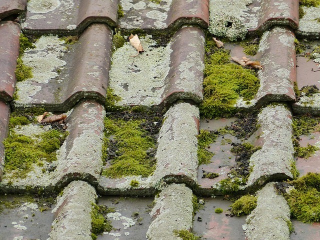 roof-58965_640.jpg
