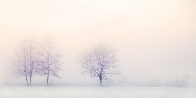 winter-landscape-2571788_640.jpg